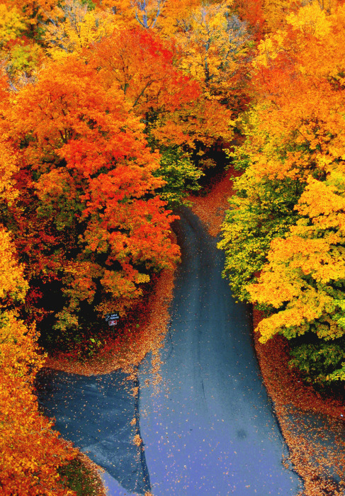 Autumn Glory, New Hampshire
