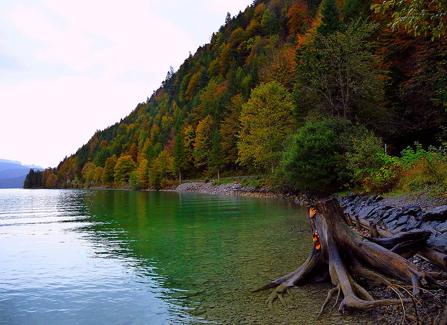 by Claude@Munich on Flickr.At the shores of Walchensee - one of the deepest and largest alpine lakes in Germany.