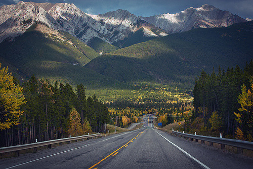 Autumn Highway, Alberta, Canada