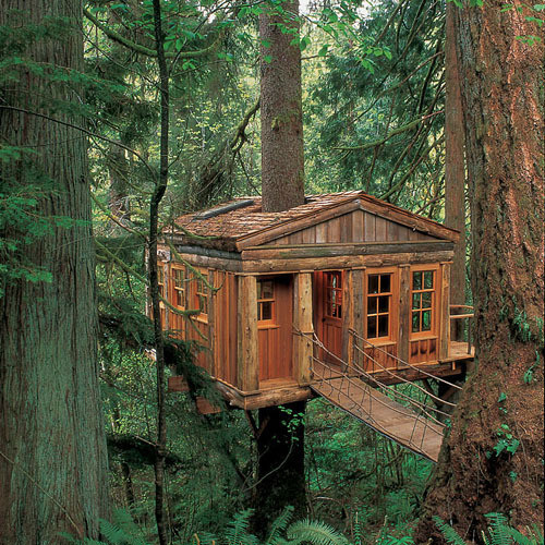Temple of the Moon Treehouse Lodge, Seattle, Washington