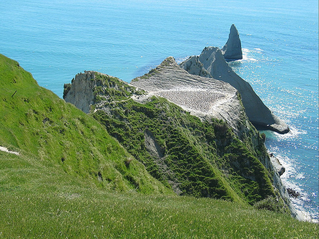 by olaf sc on Flickr.Cape Kidnappers is a headland at the southeastern extremity of Hawke Bay on the east coast of New Zealand’s North Island.