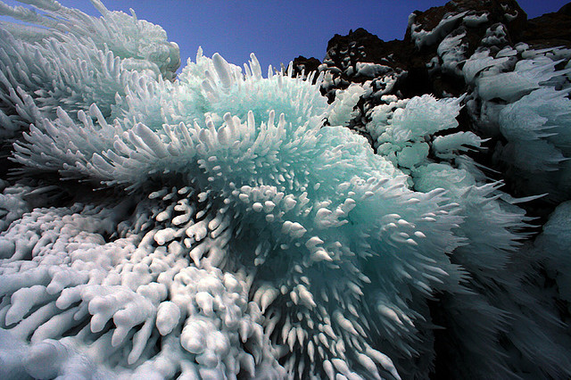 by BaikalNature on Flickr.Ice corals of Lake Baikal, the deepest lake in the world - Siberia, Russia.