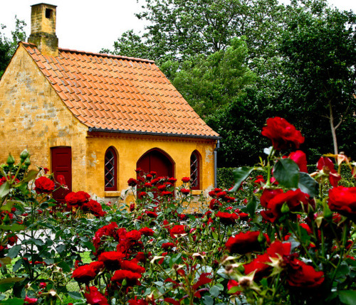 Red Rose Cottage, Great Britain