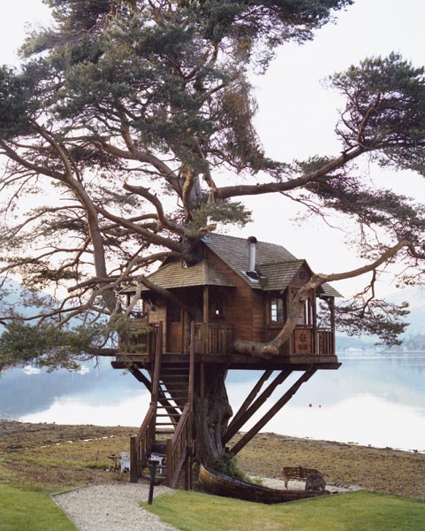 Treehouse Lodge, Scotland