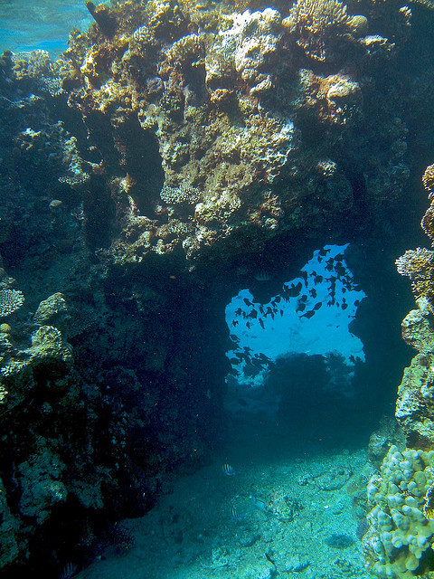 Underwater passage in The Red Sea, near Eilat, Israel