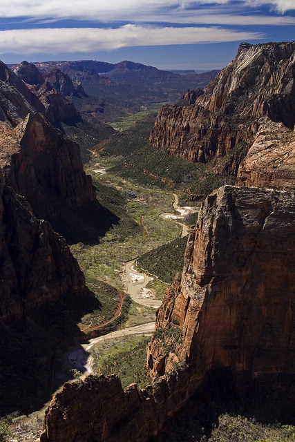 Observation Point in Zion National Park Canyon, Utah, USA