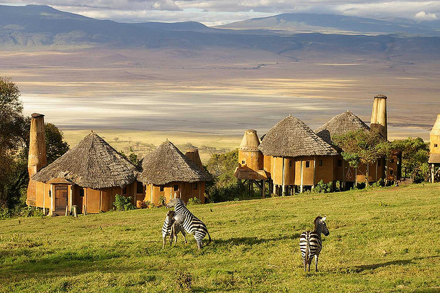 Zebras at Ngorongoro Crater Lodge, Tanzania