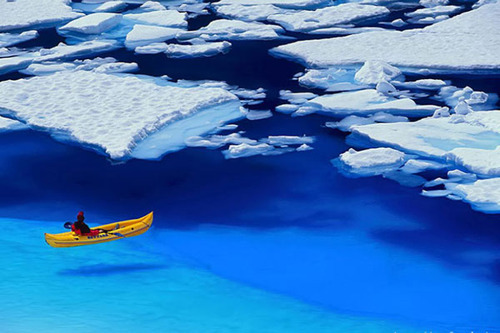 Floating in Blue, Glacier Bay, Alaska
