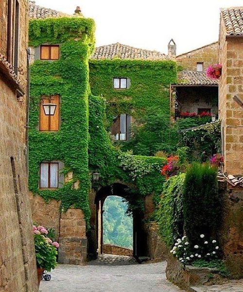 Ivy Arch, Provence, France