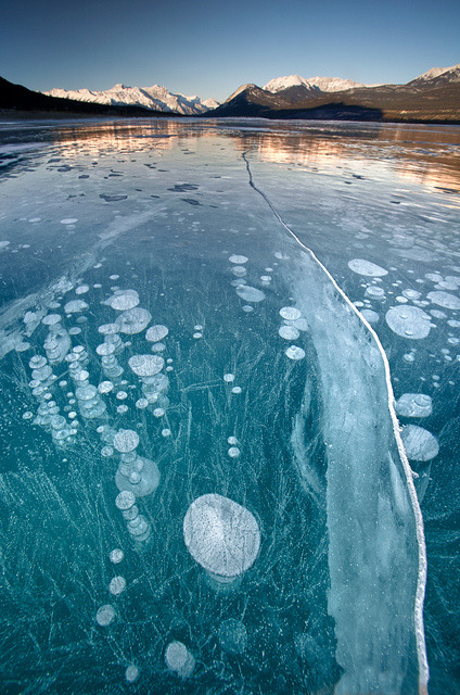 Frozen bubbles at Abraham Lake in Kootenay Plains, Alberta, Canada