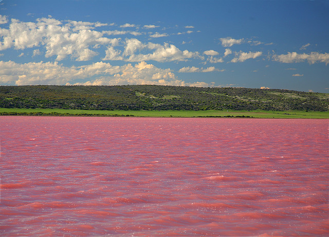 The Pink Lake in the Goldfields-Esperance region of Western Australia