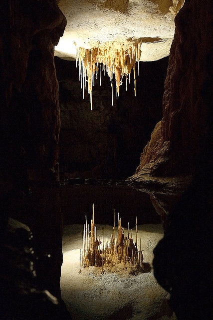 Stalactites reflected in a pool of water in Alexandra Cave, Naracoorte Caves National Park, South Australia