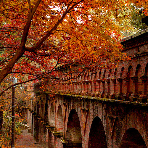 Autumn Arches, Japan