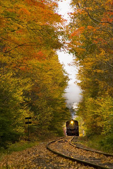 Autumn Railroad, Middlesex, Connecticutt