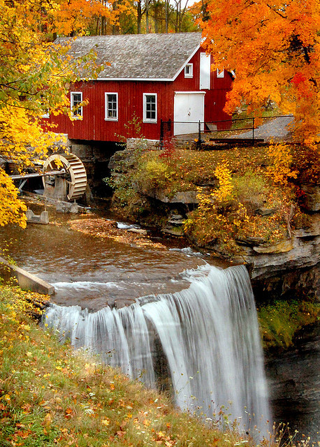 Autumn, Morningstar Mill, South Carolina