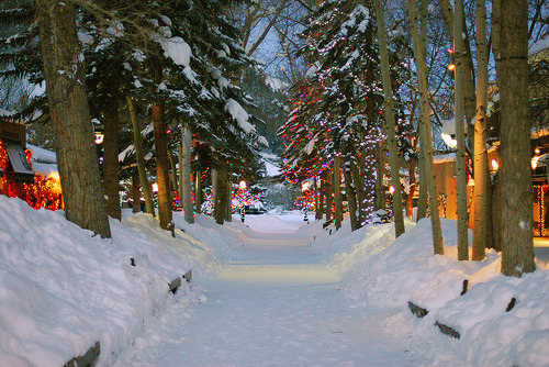 Snowy Lane, Aspen, Colorado