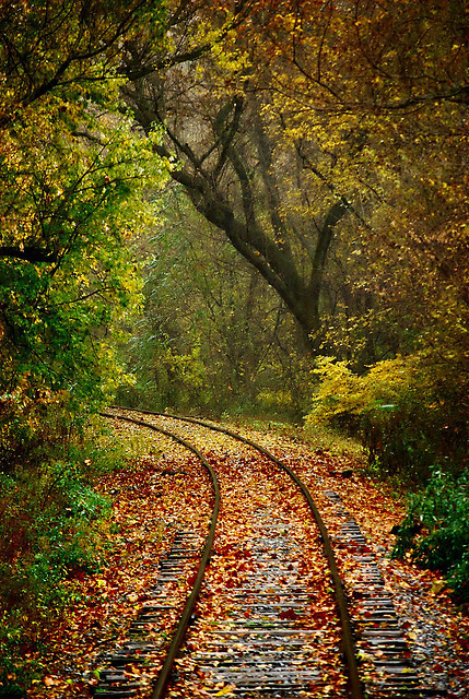 Autumn Express, Pennsylvania, USA