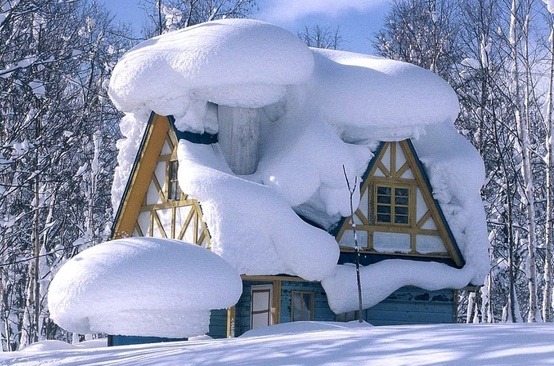 Snow Artistry, Whistler, Canada