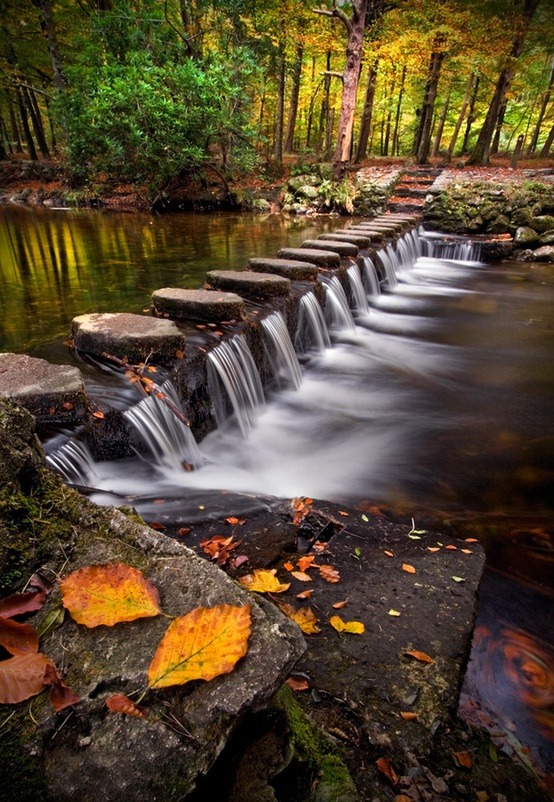 Stepping Stones, Shimna River, Tollymore Forest Park, Ireland