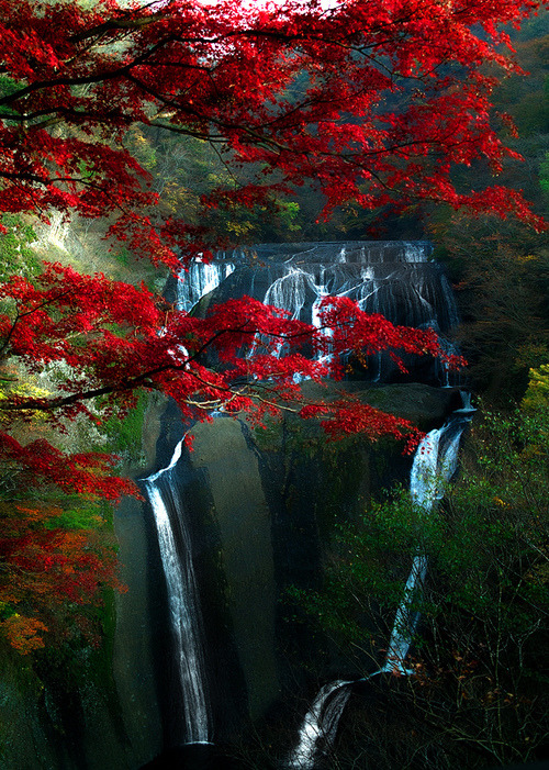 Majestic, Fukuroda Falls, Japan