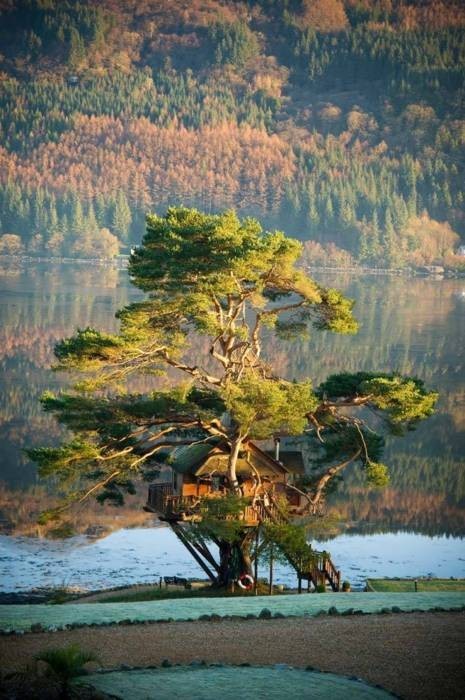 Tree House Lodge, Scotland