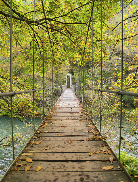 Bridge in Parque Nacional Fragas del Eume, Galicia, Spain