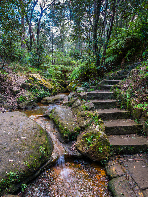 Lapstone Hill steps on the edge of the Blue Mountains, Australia
