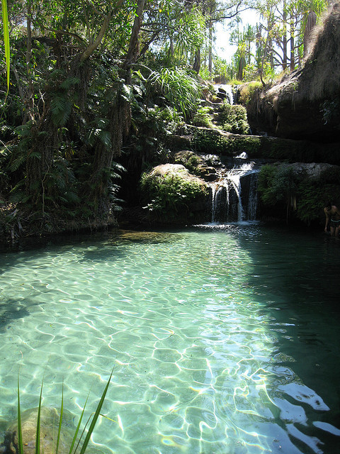 Natural swimming pool in Isalo National Park, Madagascar