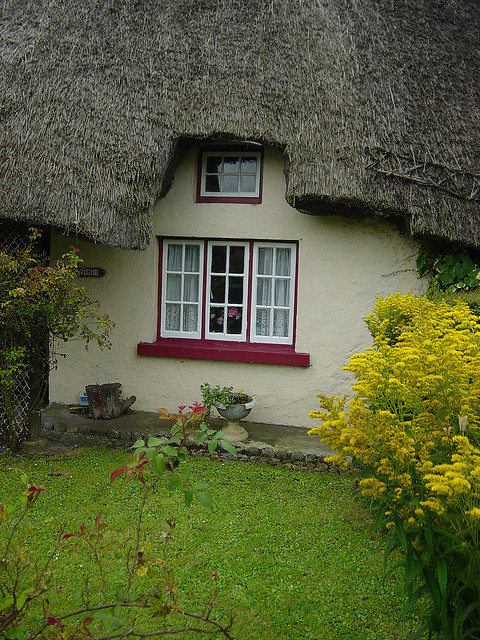 The cozy irish cottage
